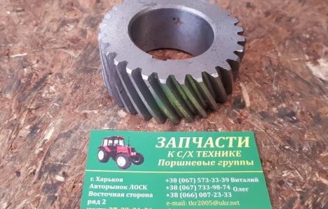 Шестерня ЮМЗ коленчатого вала Д03-005 (ЮМЗ, Д-65)