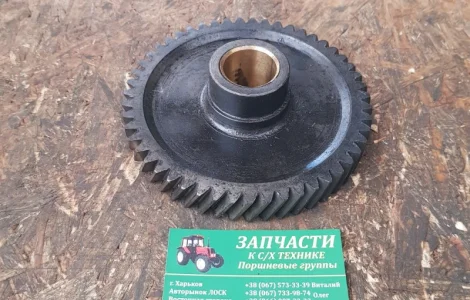 Шестерня распредвала Д37М-1006240-А8 (Д-144, Д-21) паразитная