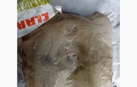 Кулачок муфти 752286