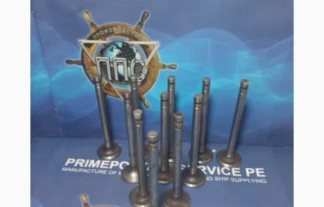 Клапан всмоктуванняя до двигуна 4ч8, 5/11