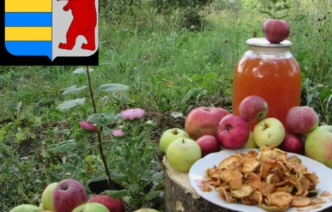 Косметика для локонов из уксуса: секреты здоровых волос