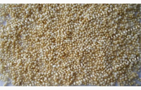 Амарант повітряний