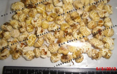 Повітряна кукурудза висаджена Puffed Corn
