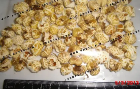 Повітряна кукурудза висаджена 1кг Puffed Corn