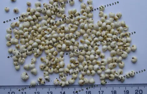 Повітряне пшоно висаджене 1кг Puffed millet