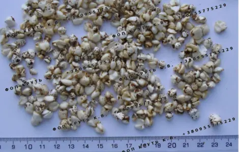 Гречка высаженная воздушная 1кг Puffed buckwheat