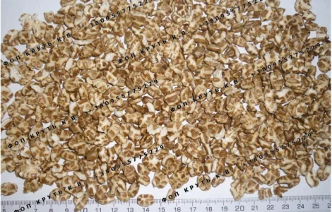 Спельта повітряна цільнозернова