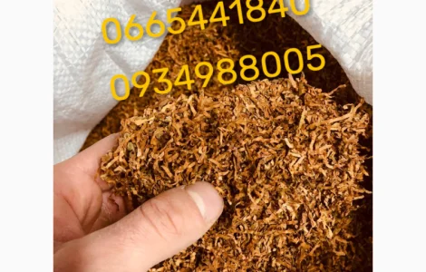 Якісний тютюн Парламент Голд Бонд Берлі Вірджинія Руно Прилуки Кемел Мальбро Гавана Є ОПТ