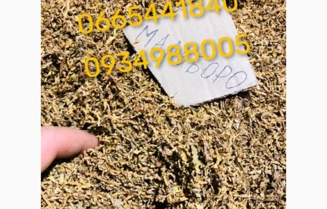 Якісний тютюн Парламент Голд Бонд Берлі Вірджинія Руно Прилуки Кемел Мальбро Гавана Є ОПТ