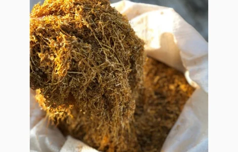 Якісний тютюн!!!! Імпотрт!! Опт та роздріб