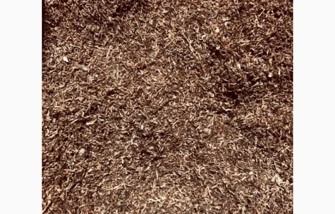 Вірджинія Голд, Берлі, Вірджинія