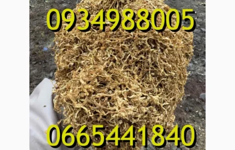 Тютюн Опт та Роздріб Гавана Дюбек Вірджинія Руно Голд Вінстон Кап Блек Махорка Парламент