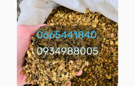 Вирджиния Берли хлопья