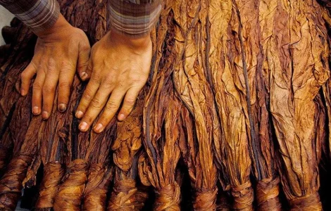 Твій ТЮТЮН для сигарет 1 кг  та аксесуари ТУТ