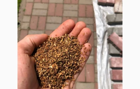 Давидоф / Дюбек / КапБлек / Вирджиния / Берли / Гильзы / Гавана / Махорка / Опт