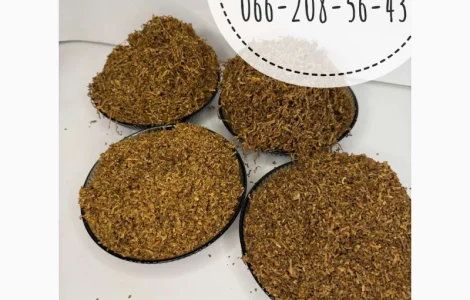 Вінстон. Давідофф. Честер