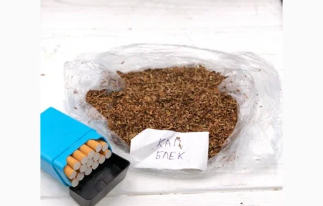 Берлі, Вірдж Голд, Капітан Блек, Гавана, Міленіум, Золоте Руно, Кентукі