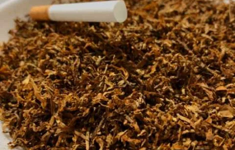 Закупимо у вас тютюн різаний для самокруток, а також махорку Дзвоніть прямо зараз