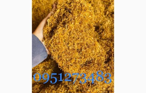 Продаж якісного тютюну для  самокруток ! Вірджинія Голд, Кентуккі, Берлі, Вірджинія, Мальборо