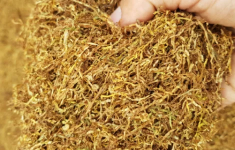 Продам разные сорта табака! ТАБАК! ОПТ / РОЗНИЦА