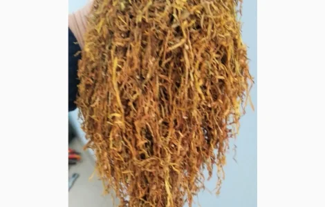 ВИРДЖИНИЯ ГОЛД (Болгария) Лапша. ОРИГИНАЛ! приятный и мягкий аромат ОПТ/розница