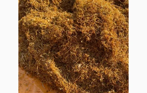 Гарний домашній та імпортний тютюн