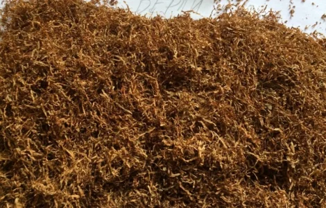 Табак Берли-38. Табак для сигарет и трубок