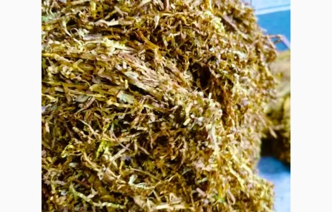 Импортные табаки: Герцеговина Флор и ТЕННЕСИ