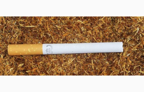 Табак Венгерский, Вирджиния голд, Кемл, Берли для сигарет 1 кг