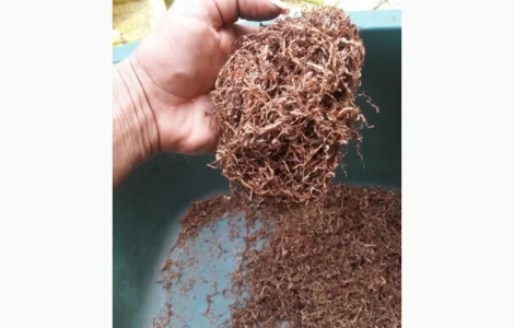 Продам табак хорошого качества для трубки , не горчить, нету запаха махорки