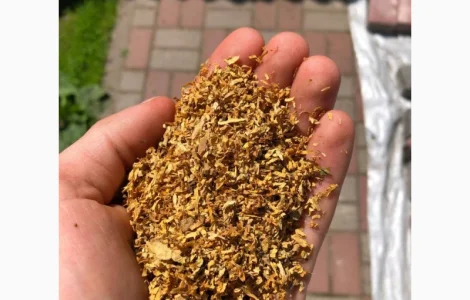 Табак Вирджиния / Берли / Руно / Мальбро / Кап Блек / Давидофф / Махорка / Гильзы / Трубки