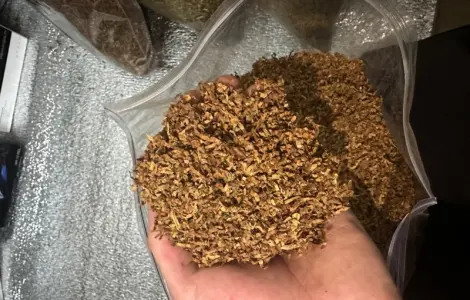 Продам тютюн опт є багато видів