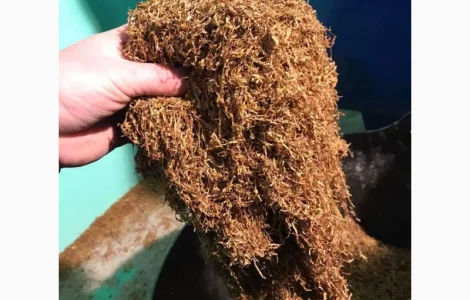 Продається тютюн для самокруток , оптом і роздрібно - Берлі