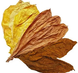 Тютюн в листi! Берли, Вирджиния, Ориентал