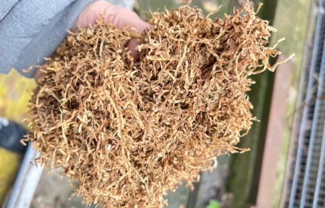 Продам табак Болгарський Вирджиния Голд