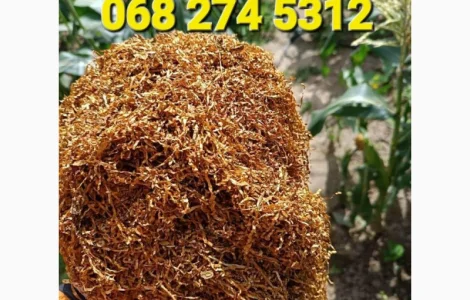 Ароматний фабричний табак високої якості