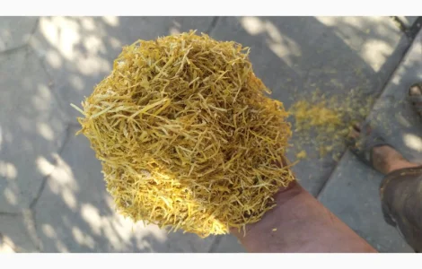 Импортные табаки / Winston, Marlboro, Cemel, Вирджиния, Kapitan Black, Злотое руно, Куба для сигарет 1 кг