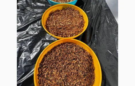 Дюбек / Гавана / ВірдПол / Хлопья / Махорка / Берлі / Мальбро / Гільзи / КапБлек