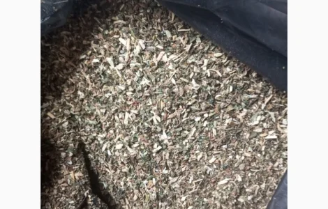 Куплю Махорку оптом від мішка