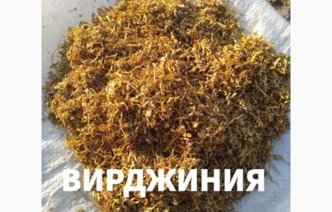 Тютюн лапшою короткою домашній Вірджінія