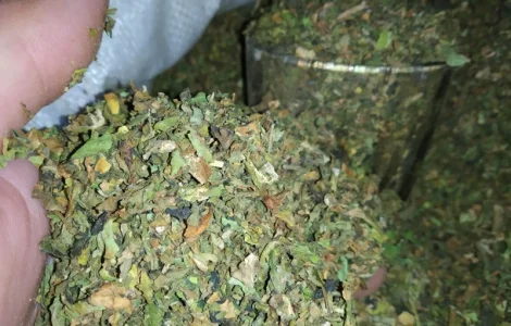 Куплю лист з табака некондицію перетертий на решето з різних табакі в200 грн кг