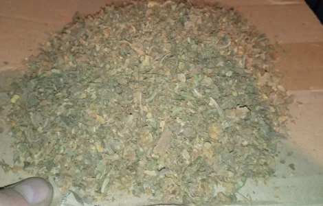 Зелені трьохцвєтка відходи з листа хлопя табака куплю по 200грн. сорт любий