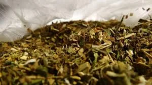 Продам табак Вирджиния Берли-без центральной жилки, без пыли и мусора!звоните сейчас