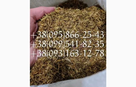 Самосад табак  для  самокруток ! табак берли вирд голд опт сорта табака, табаки болгария