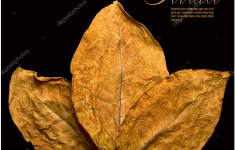 ОГРОМНЫЙ выбор табака  для  самокруток, аксессуаров, лучшие цены! Вирджиния Голд, Берли