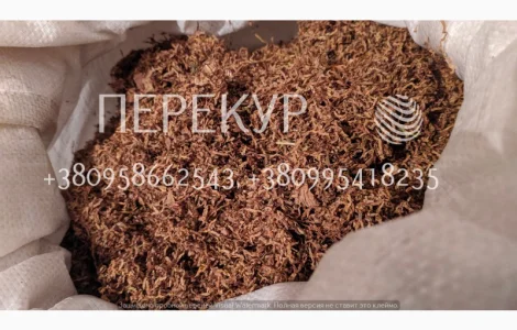 Домашний ТАБАК самосад, махорка