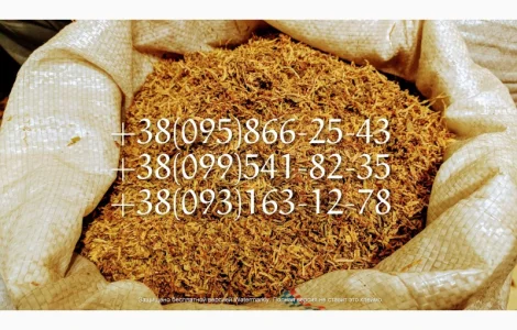 Табаки вирджиния кентуки махорка самосад берли миллениум золотое руно