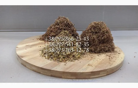 Табак Кентукки ! Табак Мальборо! Табак Берли! Табак Махорка