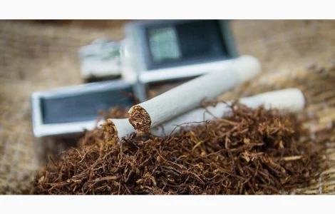 Табак Заводской, Имеет Приятный Аромат.Много разных видов на любой вкус