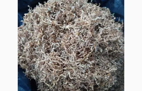 Продам табак Европейского качества!!!! Разных сортов для гильз и самокруток!!!низкая цена